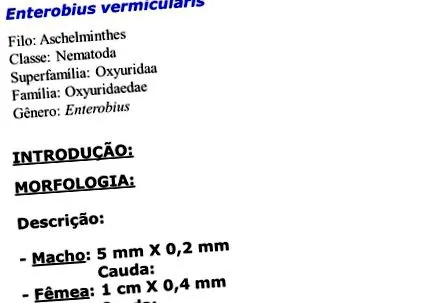 enterobius enterobius