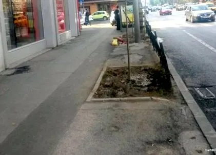 колку