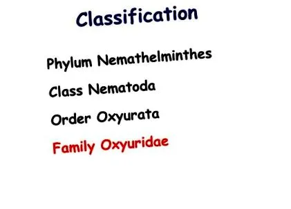 enterobius