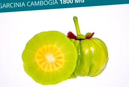 garcinia