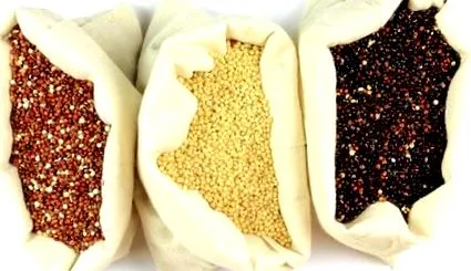 quinoa