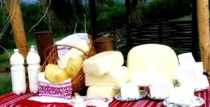 елитис