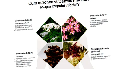 testből