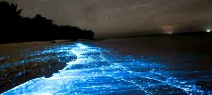 biolumineszcencia