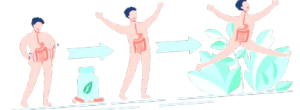 enterolactis