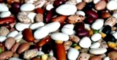 forrása