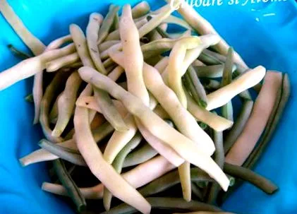 zöldbab