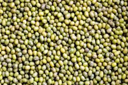 mung beans