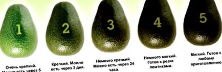 какво какво