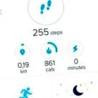 fitbit