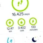 fitbit