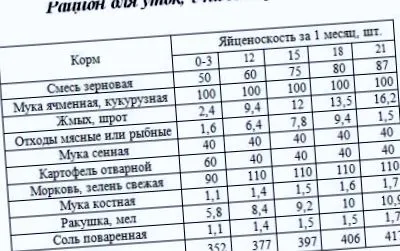 качине ферма