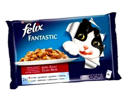 fantastic felix