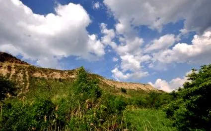сенолињата
