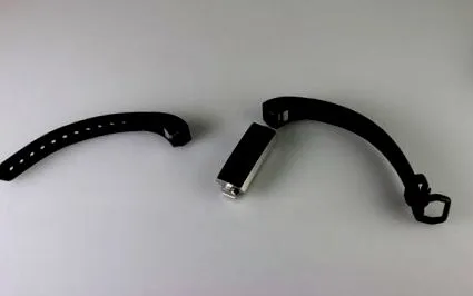 fitbit