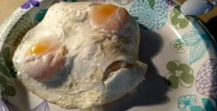 fotó fotó