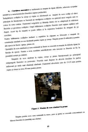 szilvakompót