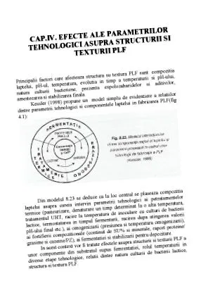 Erjesztett tejtermékek