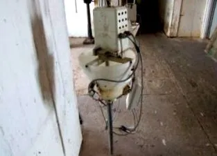 védelem állatjogok