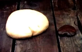 állatjogok állatjogok