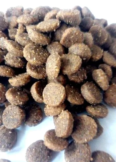 кутре кутре