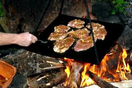 животинско