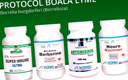borrelia