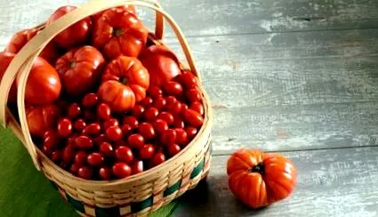 вкусно зеленчук