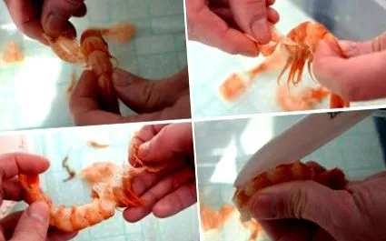 fritto