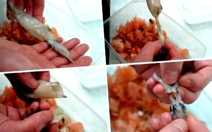 fritto