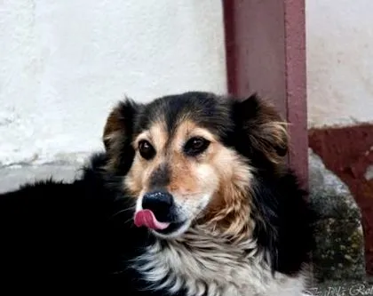 generációk