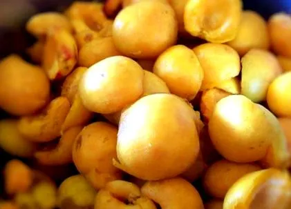 vagy sárgabaracklekvár