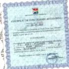 фитнес тест