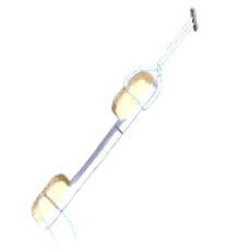 štep