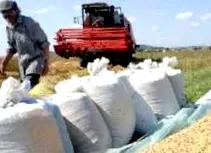 борошно калорійне
