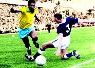 volt pele