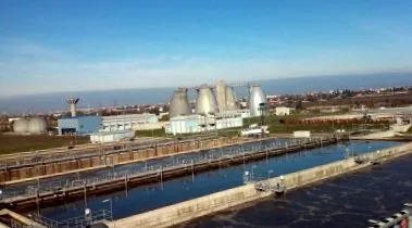 половина