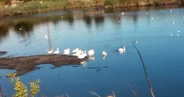 најдов