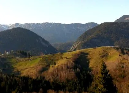 ideális