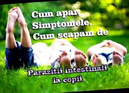 vastagbél