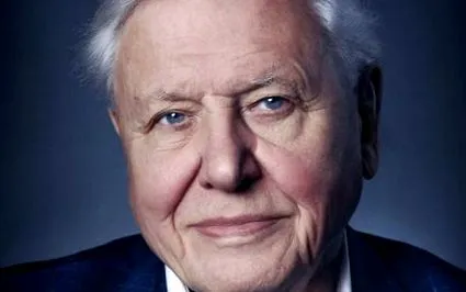 ohvaz minden