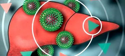 hepatitis vírussal fertőzött