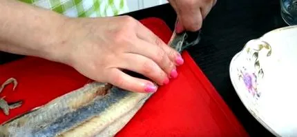 hering