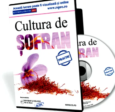 túlsúlyos üzleti