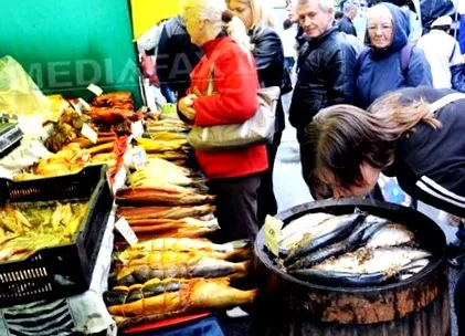 решенија увозници