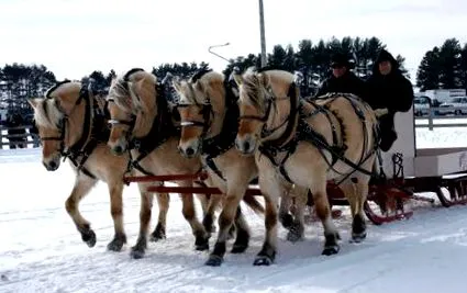 mennyi