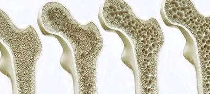 laboratórium
