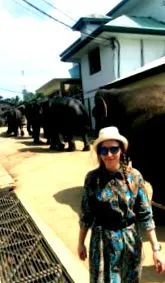 napló mennyit