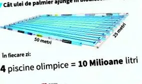 fele európában