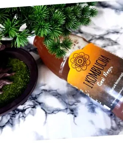 kombucha